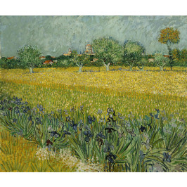 붓꽃이 있는 아를르 풍경 [View of  Arles with Irises in the F