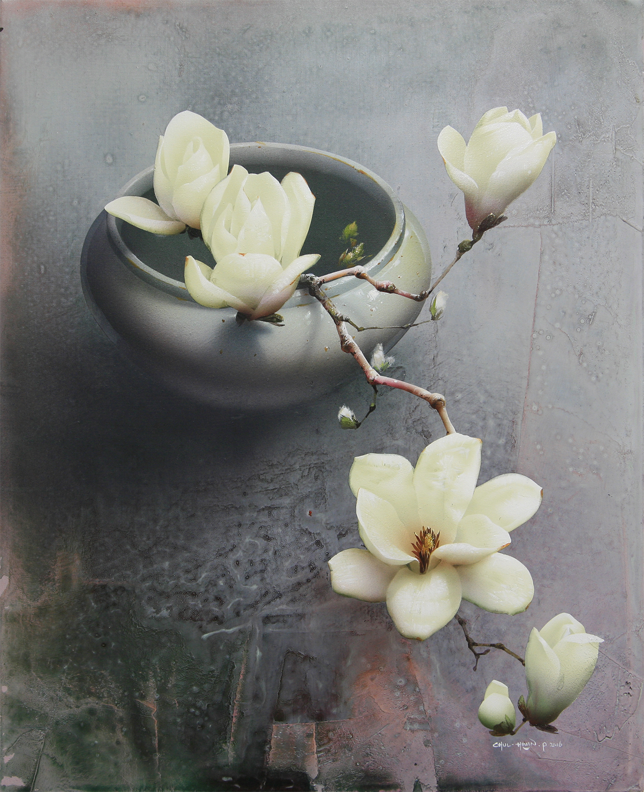 목련 . Magnolia