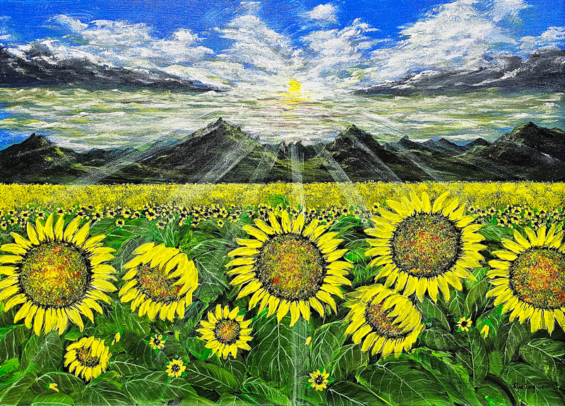 Sunshine - Sun Flower